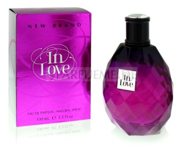 In Love Damen New Brand Eau de Parfum 100 ml Parfum