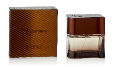 XPRESSION Herren Parfum 100 ml EdT New Brand 100 ml