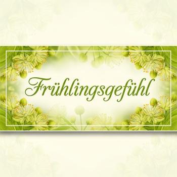FRÜHLINGSGEFÜHL 100 ml Damen (high concentrate) D592