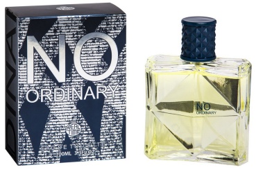 NO ORDINARY for men Herren Parfum 100 ml Real Time (RT145)