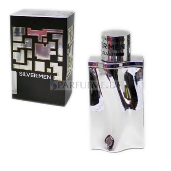 Silver Men 100 ml Eau de Toilette Men Herren Georges Mezotti