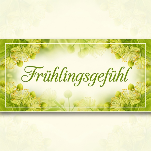 FRÜHLINGSGEFÜHL 100 ml Damen (high concentrate) D592